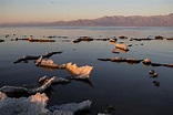 Preserving an Accident, the Salton Sea in California, for the Good of ...