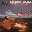 Sandy Bull - Steel Tears - Amazon.com Music