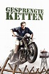 Gesprengte Ketten (1963) — The Movie Database (TMDB)