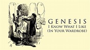 Genesis 'I Know What I Like (In Your Wardrobe)' (+lyrics) - YouTube