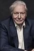 Sir David Attenborough at 90 – FIVELIGHTSDOWN