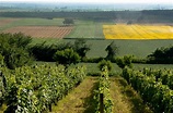 Economy:Pictured above is a farm in Serbia. Farms are very important to ...