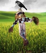 Scarecrow, Autumn theme, Crow