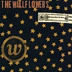 The Wallflowers - Bringing Down The Horse (Vinyl 2LP) - Music Direct