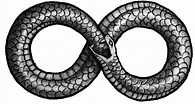 Ouroboros PNG Picture | PNG All