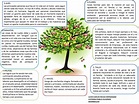 U.Andina: Primer entrega de proyecto - ÁRBOL DE LA VIDA