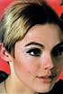 Stunning Portraits of Edie Sedgwick Photographed by Nat Finkelstein ...