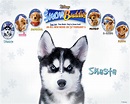 Shasta Wallpaper - Snow Buddies Wallpaper (31198377) - Fanpop