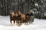 Reit- und Kutschtouristik Rainer Ortlepp | Oberhof