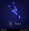 Taurus zodiac sign stars on the cosmic sky Vector Image