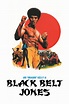 Black Belt Jones (1974) | The Poster Database (TPDb)