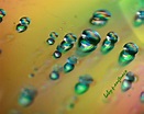 Guess What? Close up Photos of Some Common and Natural Objects - HubPages