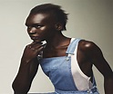 Alek Wek Biography - Childhood, Life Achievements & Timeline