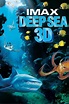 Deep Sea 3D (2006) — The Movie Database (TMDB)
