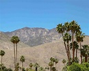 Explore Greater Palm Springs in Southern California - Bell and Bly