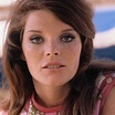 45 Gorgeous Photos of Samantha Eggar in the 1960s ~ Vintage Everyday