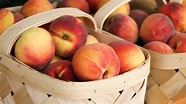 Fruit and Vegetable Guide Series: Peaches | USU
