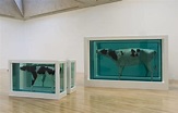 El shock art de Damien Hirst - Arte Contemporáneo