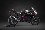 2020 TVS Apache RR310 BS6 Launched - Know Details