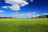 Green grass field surrounded with trees at daytime HD wallpaper ...