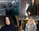 Harry Potter Cast - All you Need to know about Main Cast