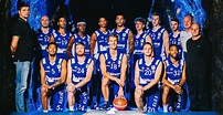 Tigers treffen in Oberhausen auf Aufsteiger FC Schalke 04 Basketball ...