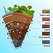 Soil Formation - Soil Profile, Classification and FAQs