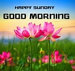 35+Happy Sunday Good Morning Hd Images - Share Your Day Wishes