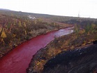 Search Is On For The Chemistry Behind Russia's Red River