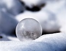 Imagen gratis: invierno, hielo, copo de nieve, macro, nieve, frío, esfera
