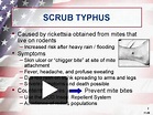 PPT – SCRUB TYPHUS PowerPoint presentation | free to view - id: 31767-NmNhN