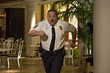 Paul Blart: Mall Cop 2 (2015) Pictures, Trailer, Reviews, News, DVD and ...