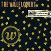 The Wallflowers – Bringing Down the Horse • chorus.fm