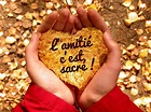 Les petites images d'Amour du net: Petite citation clé de l'amitié : L ...