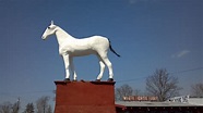 Hidden New Jersey: Trotting along the White Horse Pike