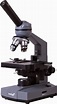 ᐉ 22 Mejores Microscopios Universidades De Michigan 【Y】