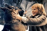 Foto zum Film Jack Londons Wolfsblut - Bild 7 auf 11 - FILMSTARTS.de