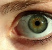 File:Green eye lashes.jpg - Wikipedia