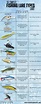 The Ultimate Fishing Lure Types Chart - Fish and Game Report