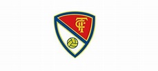 El Terrassa FC recupera els drets d’ús de l’escut i la marca del club ...