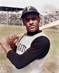 THIS DATE IN BASEBALL HISTORY- NOVEMBER 22, 1954- PITTSBURGH PIRATES ...