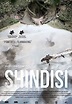 La Lucha de Shindisi - película: Ver online en español