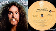 Ted Nugent – Cat Scratch Fever (Vinyl, LP, Album) 1977. - YouTube