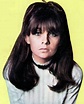 Chrissie Shrimpton - Alchetron, The Free Social Encyclopedia