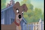 Lady and the Tramp 2 Screencaps - Lady and the Tramp II Image (15595274 ...