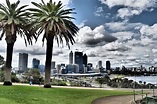 Perth, Kings Park, Western Australia | Perth australia, Western ...