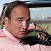 James Belushi in HBO-Miniserie "Show Me a Hero" - Terry Kinney und ...