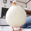 Oh my, this duck is very round. : Delightfullychubby