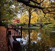 Japanese Fall Festival at the Fort Worth Botanic Gardens