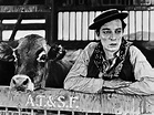 Buster Keaton Cowboy - Go West Alejandro Cilento - Artelista.com